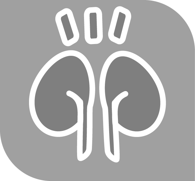 RENAL GRAVE2
